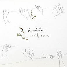 어른아이 - Dandelion