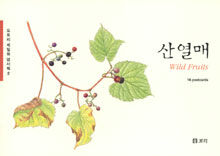 도토리기획 이미지