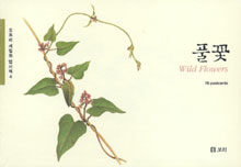 도토리기획 이미지
