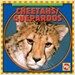 Cheetahs/ Guepardos (Bilingual, Library Binding)