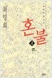 혼불 4