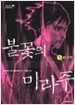 불꽃의 미라주 1