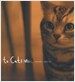to cats