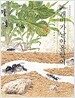 개미가 날아올랐어