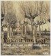 빈센트 반 고흐 Vincent van Gogh