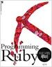 Programming Ruby 프로그래밍 루비 - 전2권