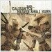 Caliban vs. Heaven Shall Burn - The Split Program II