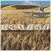 Kansas / Somewhere to Elsewhere
