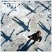 Muse - Absolution