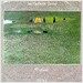 [수입] Jan Garbarek Group - Wayfarer