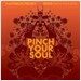 Clazziquai - Pinch Your Soul : 2nd Remix Album