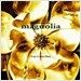 Magnolia (매그놀리아) O.S.T