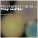 이루마 (Ruma's Another Society) - Nocturnal Lights... They Scatter