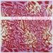 Yo La Tengo - I Am Not Afraid Of You And I Will Beat Your Ass (22p 북클렛/2CD)