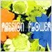 T Square - Passion Flower
