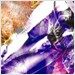 L'Arc~en~Ciel - Link / Promised Land 2005