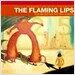 Yoshimi Battles The Pink Robots