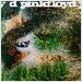 A Saucerful Of Secrets