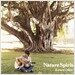 Kotaro Oshio - Nature Spirit