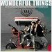V.O.S. 3집 - Wonderful Things [통에 든 포스터 증정]