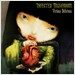 Infected Mushroom - Vicious Delicious