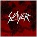 [수입] Slayer - World Painted Blood