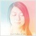Lia - Colors Of Life