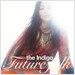 The Indigo - Future Folk