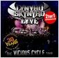 Lynard Skynard - Vicious Cycle [Live]