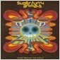 [수입] Super Furry Animals - Rings Around The World