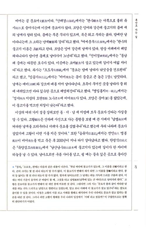 꼬마모자 이미지